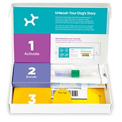 Embark Dog DNA Tests