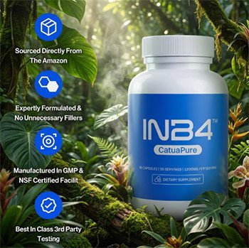 INB4 Supplement Review